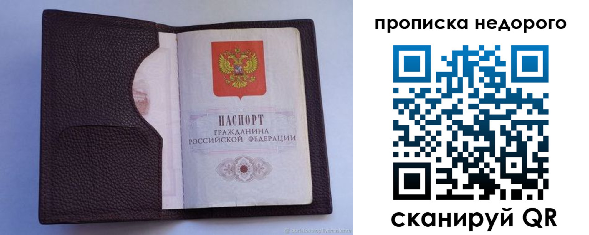 прописка законно в Вологде